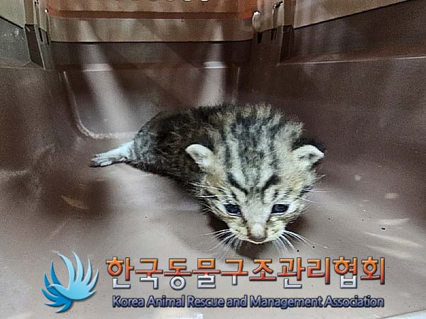 한국동물구조관리협회_411323202300049